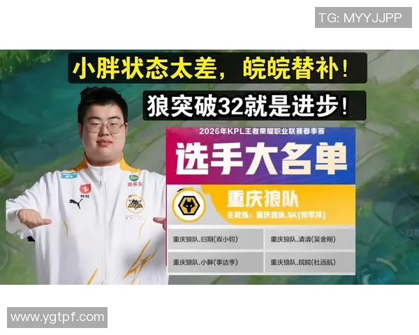 狼队皖皖反打精彩瞬间回顾与战术分析带你领略电竞魅力与团队合作精神